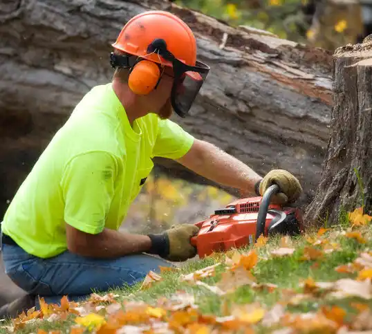 tree services Loch Lloyd